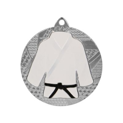 6. Silver medal judo/karate