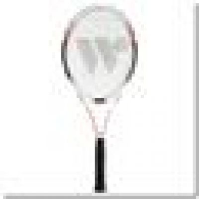 2. WISH WS4001 Badminton Net 