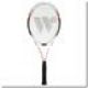 2. WISH WS4001 badminton net