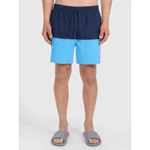 Men's swimming shorts 4F 4FWSS26UBDSM189-33S