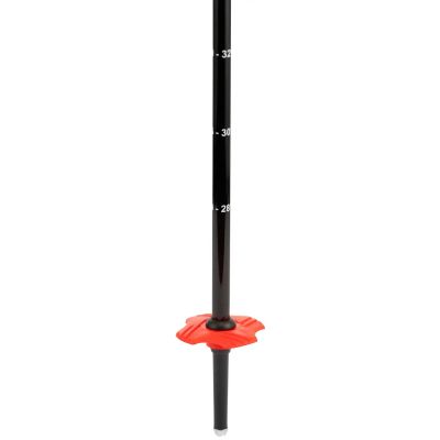 8. ROSSIGNOL Telescopic Jr Ski Poles - Blue