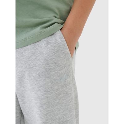 2. Boys' jogger sweatpants 4F 4FJWMM00TTROM1188-25M