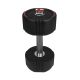 22. Body Sculpture TPU dumbbell BW 133 8 KG