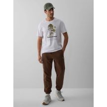 Men's jogger sweatpants 4F 4FRAW26TTROM2092-81S