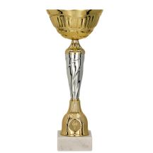 Gold and silver metal cup