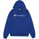 8. Champion Hooded Sweatshirt M 220726 BS008