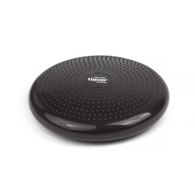 2. tiguar disc (air disc) - graphite