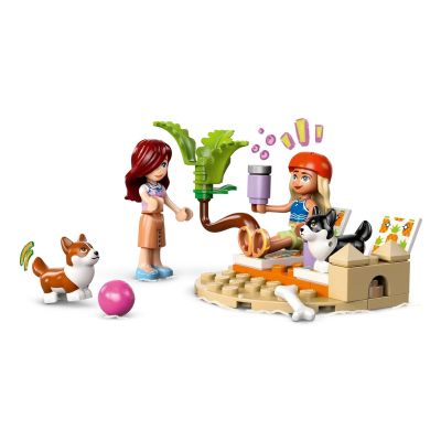 5. LEGO FRIENDS 42641 Surfing Dogs and Scooter Adventure