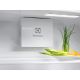 8. ELECTROLUX ERD6DE18S1 refrigerator
