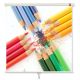 2. AVTEK WALL STANDARD 175 projection screen for hanging on the ceiling or wall (ceiling, wall; manually unrolled; 175 x 175 cm; 1:1; 97")