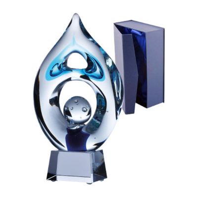 3. Glass trophy with case