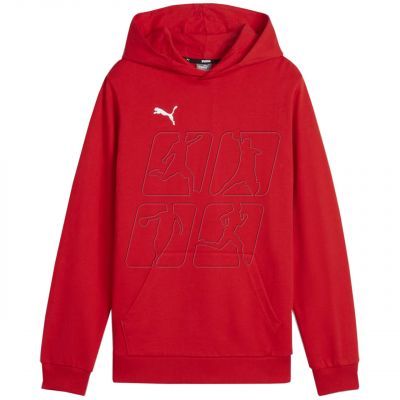 3. Puma Team Goal Casuals Hoddy Jr sweatshirt 658619 01