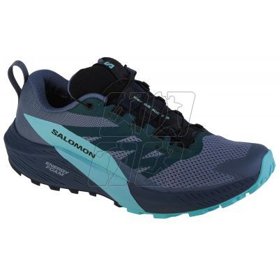 5. Shoes Salomon Sense Ride 5 GTX M 471474