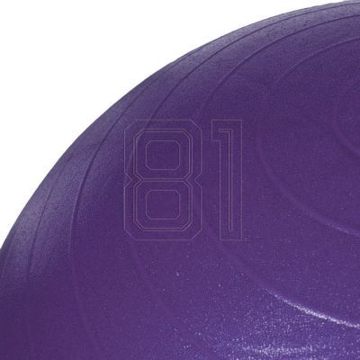 37. PROfit gym ball 55cm black with pump DK2102