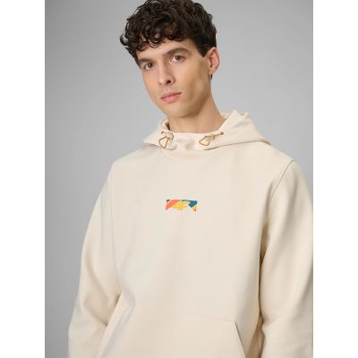5. Men's regular hooded sweatshirt 4F 4FRSS26TSWSM2894-12S
