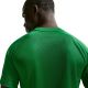 5. Men's Nike Dri-Fit Park VIII T-shirt green HV8173 302