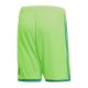 2. Adidas Regista 18 Short M CF9598