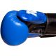 18. TOP TEN "PRISM" Boxing Gloves 10 oz (VARIOUS COLORS)