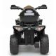 15. QUAD CAR WITH MICRON BATTERY GREEN 1039091