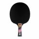 11. Conrilleau Excell Carbon 3000 table tennis bats
