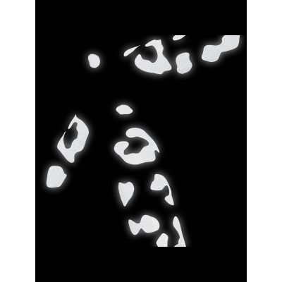3. BOOKMAN Reflective Leopard Print sticker
