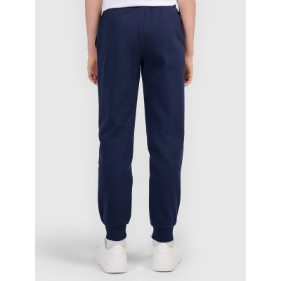 2. Boys' jogger sweatpants 4F 4FJWMM00TTROM1840-31S