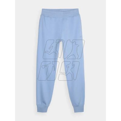 5. Trousers 4F W 4FWMM00TTROF0946-32S