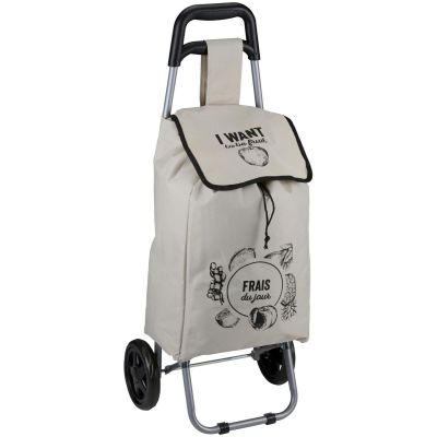 11. TROLLEY SHOPPING BAG ON WHEELS WITH FRAME 25L GRAY