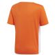 2. T-shirt adidas Entrada 18 JSY Y Jr CF1043