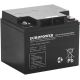 EUROPOWER EPS Series AGM Battery 12V 42Ah (Lifespan 8-12 years)