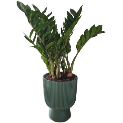 10. MILLY FLOWER POT ON LEG DIAMETER 30 CM LIGHT GRAY