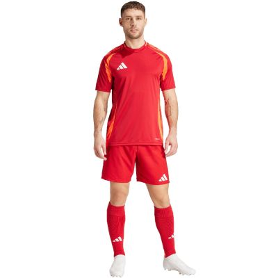 10. Adidas Tiro 24 Competition Training M shorts IK2245