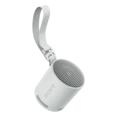 2. Sony SRS-XB100 Portable Mono Speaker Gray