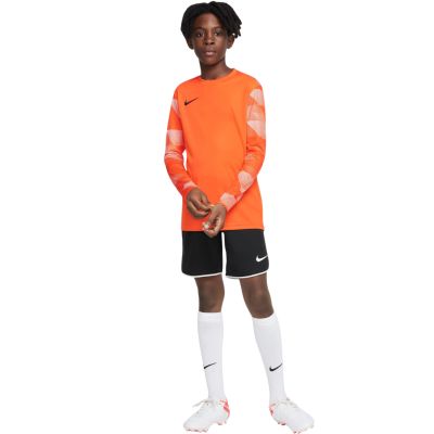 15. Nike Dry Park IV JSY LS GK Jr CJ6072-819