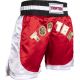 3. TOP TEN kick light shorts (WAKO APPROVED)
