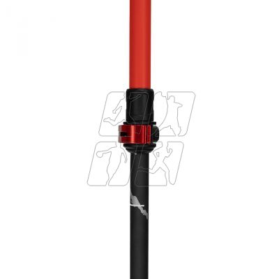 5. Alpinus Braunberg NX43601 Nordic walking poles