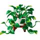 3. LEGO Botanical Collection 11512 - Hanging Golden Epipremnum