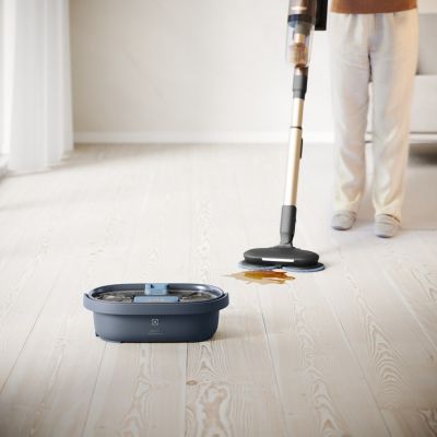 3. Electrolux EPPCS2 Cleaning Station Upright Vacuum Cleaner
