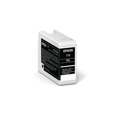 Epson Ink Photo Black Schwarz (C13T46S100)