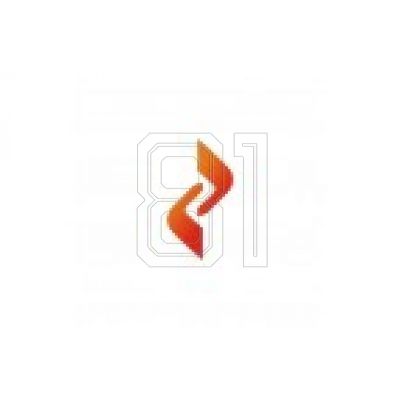 3. OOfos NG Sport M 1063046 flip-flops