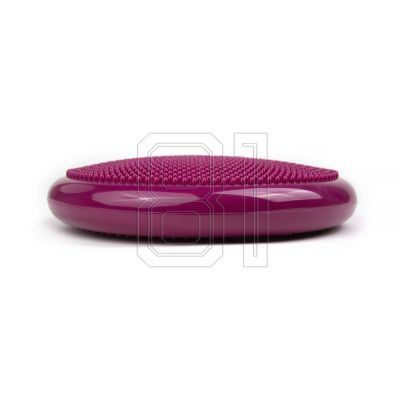 6. Tiguar (air disc) stabilizing disc DR-GT0001