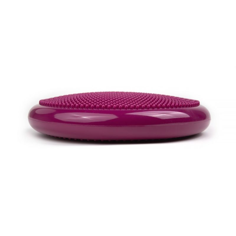 6. Tiguar stabilizing disc (air disc) DR-GT0001