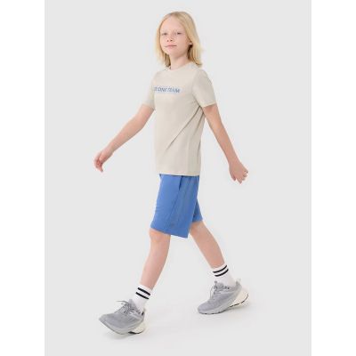 2. Boy's cotton T-shirt 4F 4FJWSS25TTSHM2186-12S