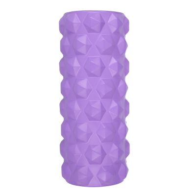 23. Fitness Roller HMS PURPLE FS107 