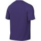 2. Nike Dri-Fit Park VIII Men's T-Shirt Purple HV8173 547