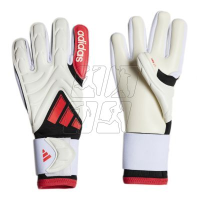 adidas Copa Pro Jr JH3795 Goalkeeper Gloves