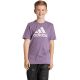 4. Adidas Essentials Big Logo Cotton Tee Jr IJ7061
