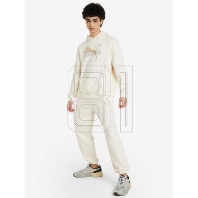 3. Puma FD Ess Btr M sweatshirt 673293 99