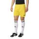 16. adidas Parma 16 M AJ5885 football shorts