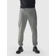 3. Men's quick-drying training pants 4F 4FWAW24TFTRM681-25M